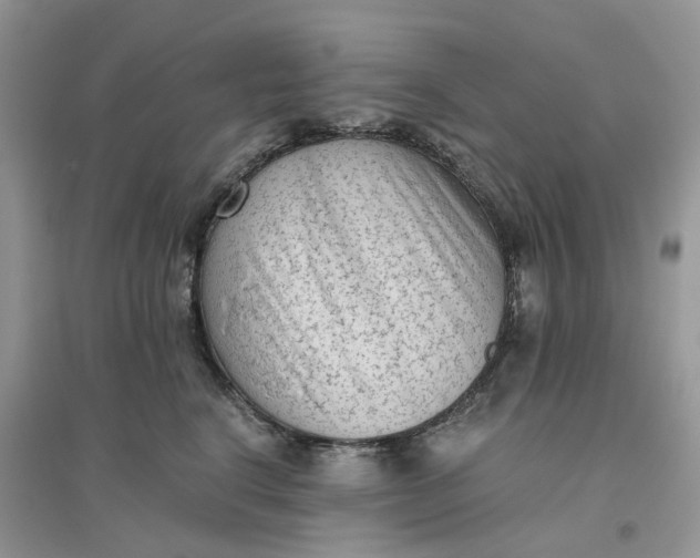 X0000096400664200802071602