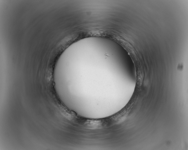 X0000096400665200802071602