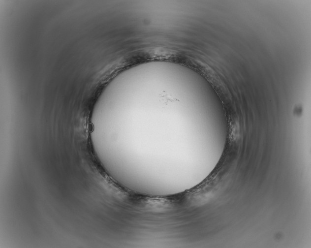 X0000096400666200802071602