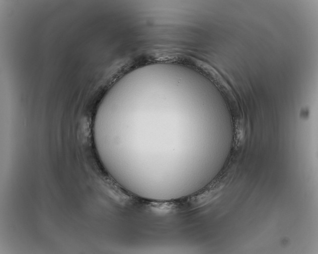 X0000096400667200802071602