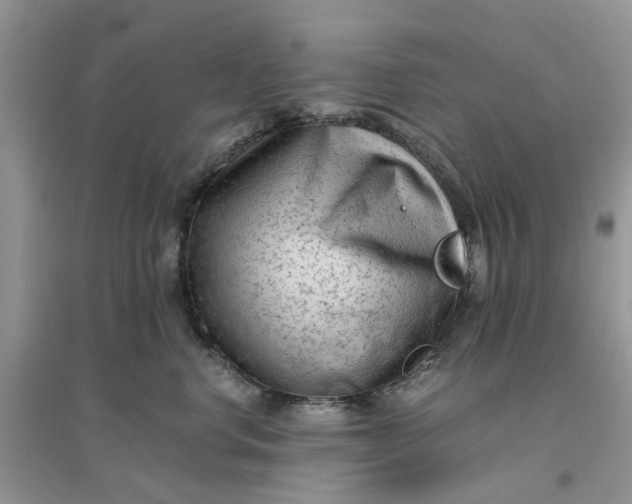 X0000096400668200802071602