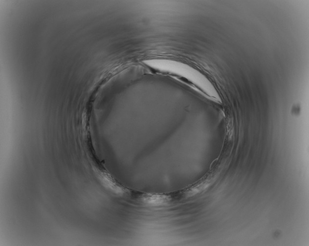 X0000096400670200802071602