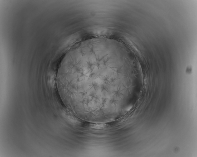 X0000096400671200802071602