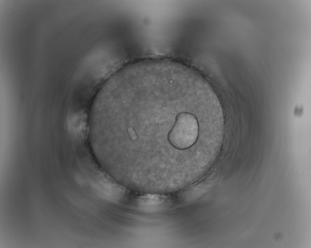 X0000096400672200802071602