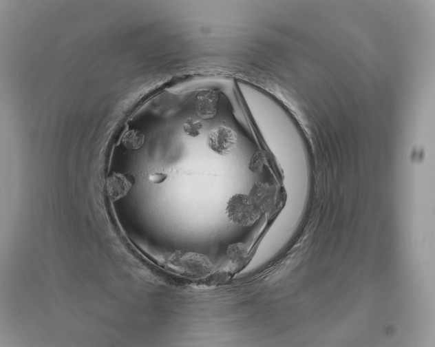 X0000096400673200802071601