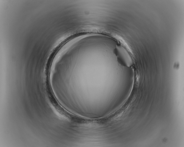 X0000096400674200802071601