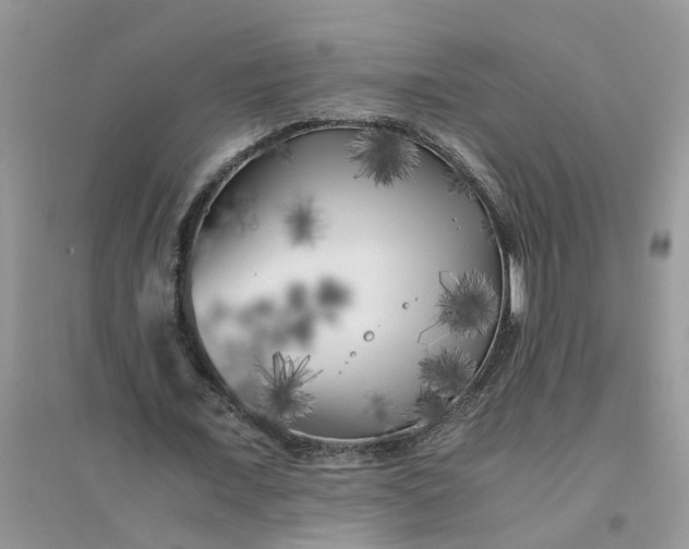 X0000096400675200802071601