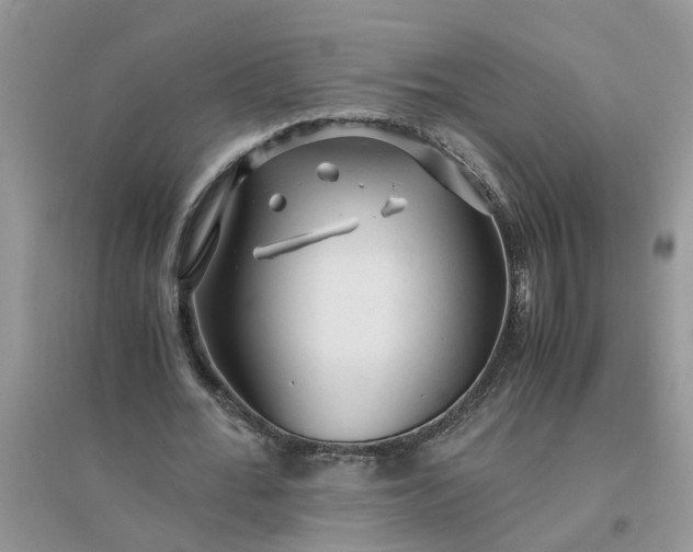 X0000096400676200802071601