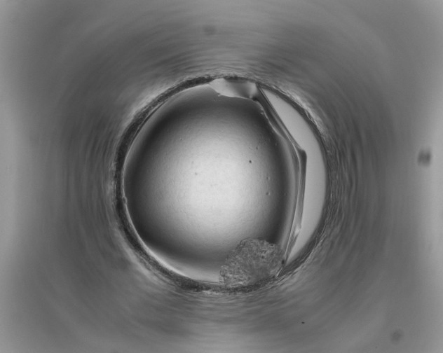 X0000096400677200802071601