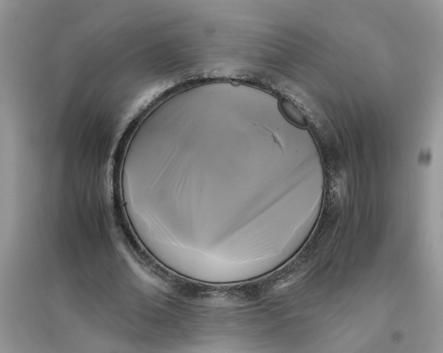 X0000096400678200802071601