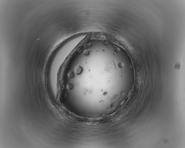 X0000096400680200802071601