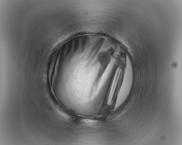 X0000096400681200802071601