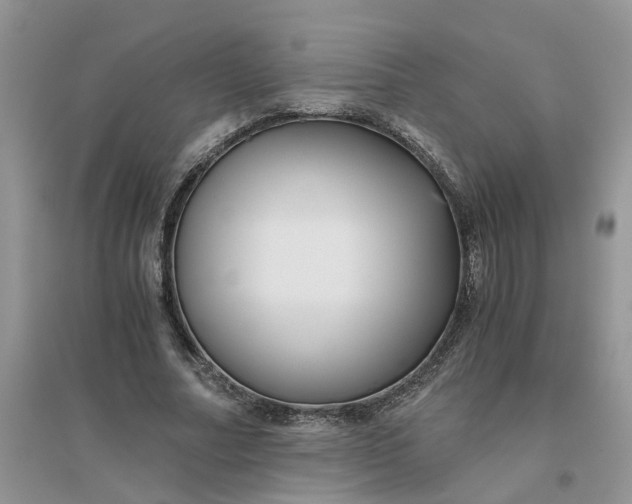 X0000096400682200802071601