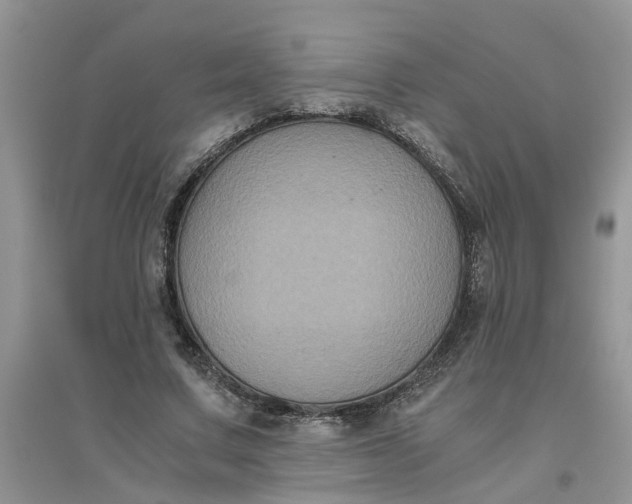 X0000096400683200802071601