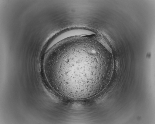 X0000096400684200802071601