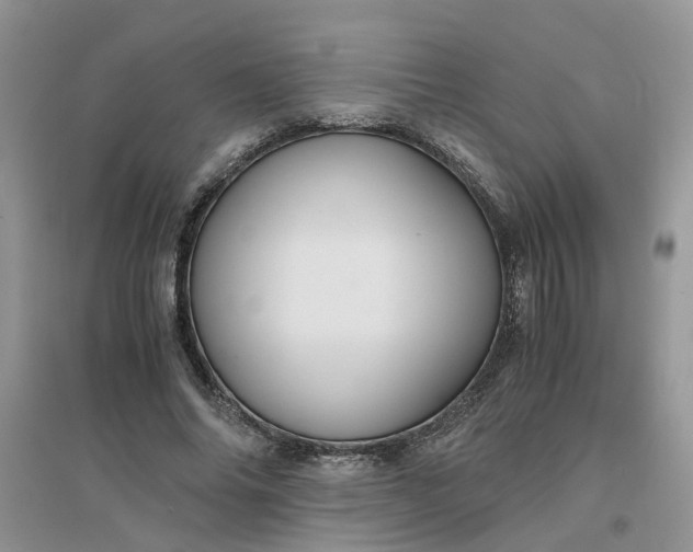 X0000096400686200802071601