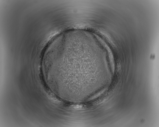 X0000096400687200802071601