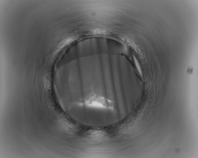 X0000096400689200802071601