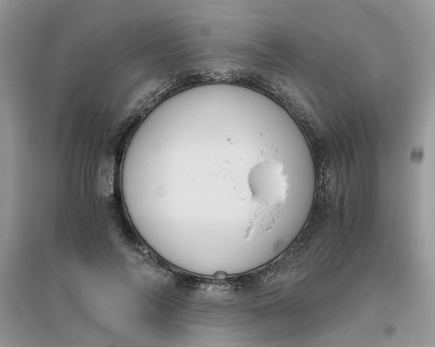 X0000096400694200802071601