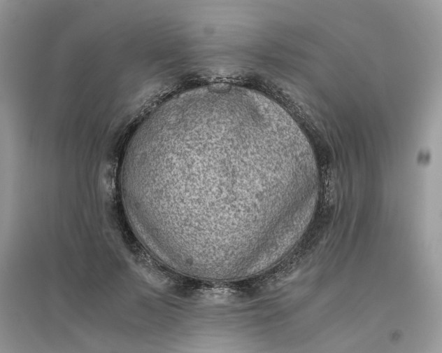 X0000096400695200802071601