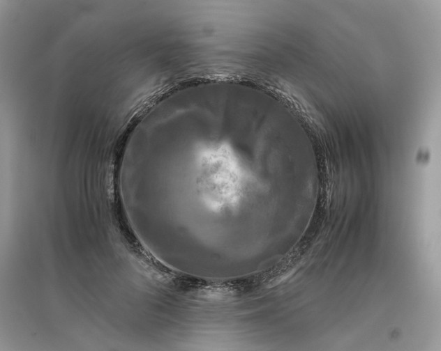 X0000096400696200802071601