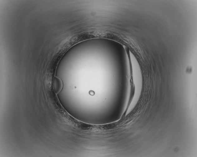 X0000096400697200802071601