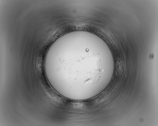 X0000096400698200802071601