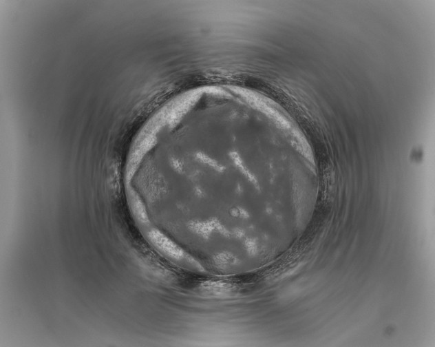 X0000096400699200802071601