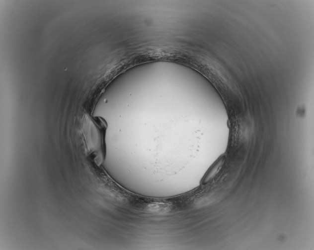 X0000096400700200802071601