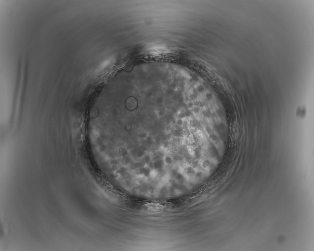 X0000096400703200802071601