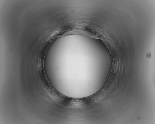 X0000096400704200802071601