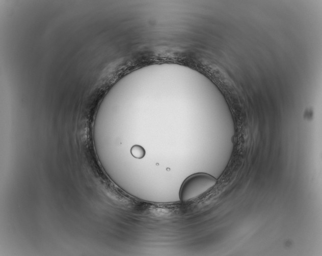 X0000096400706200802071601