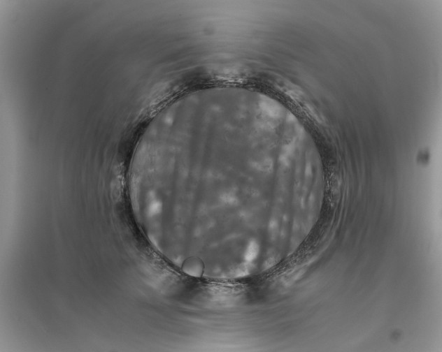 X0000096400707200802071601