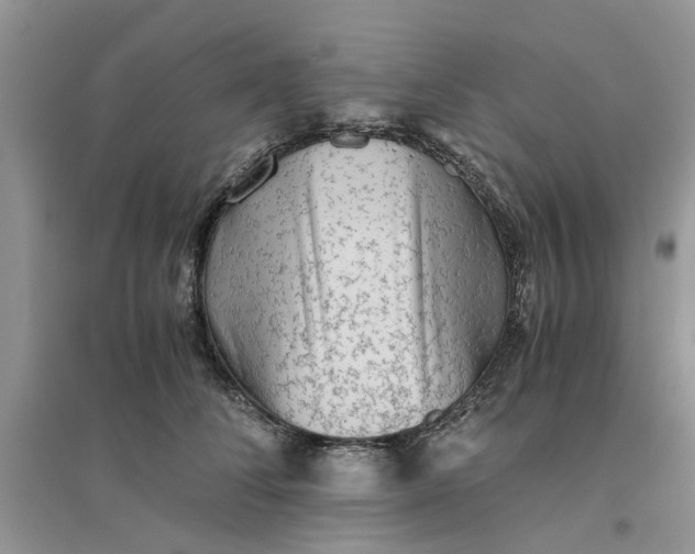 X0000096400708200802071601