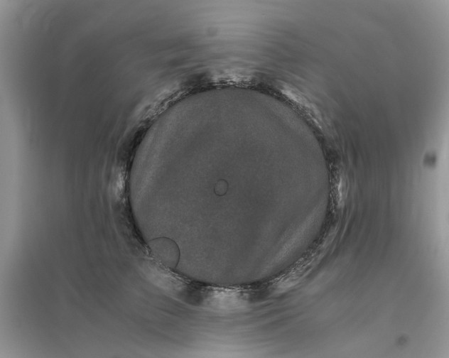 X0000096400709200802071601