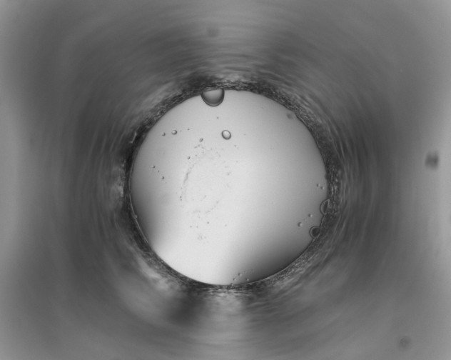 X0000096400710200802071601