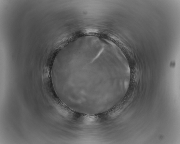 X0000096400711200802071601