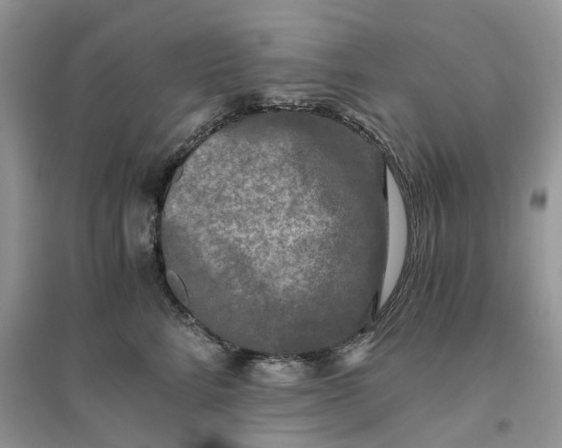 X0000096400712200802071601