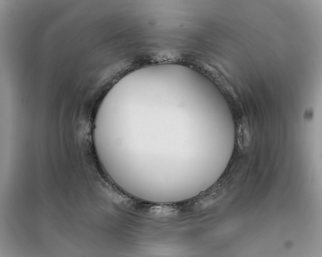 X0000096400714200802071601