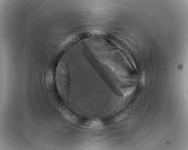 X0000096400715200802071601