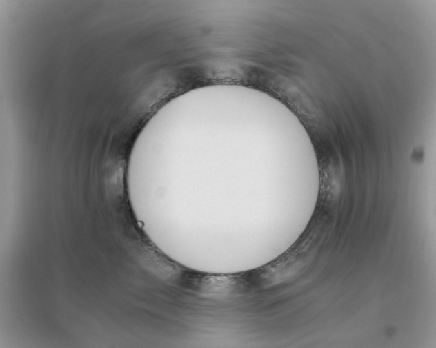 X0000096400717200802071601