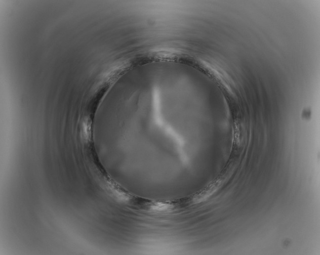 X0000096400718200802071601