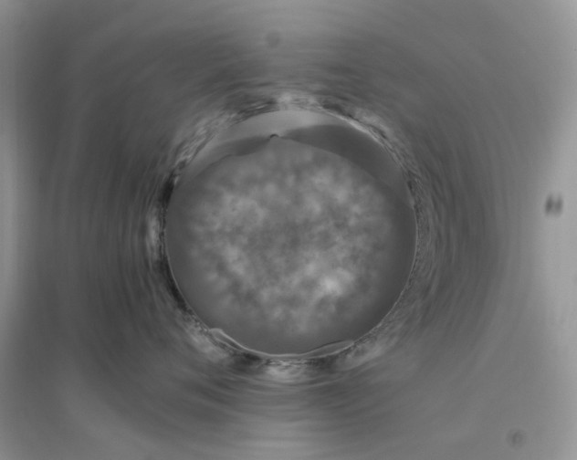 X0000096400720200802071601