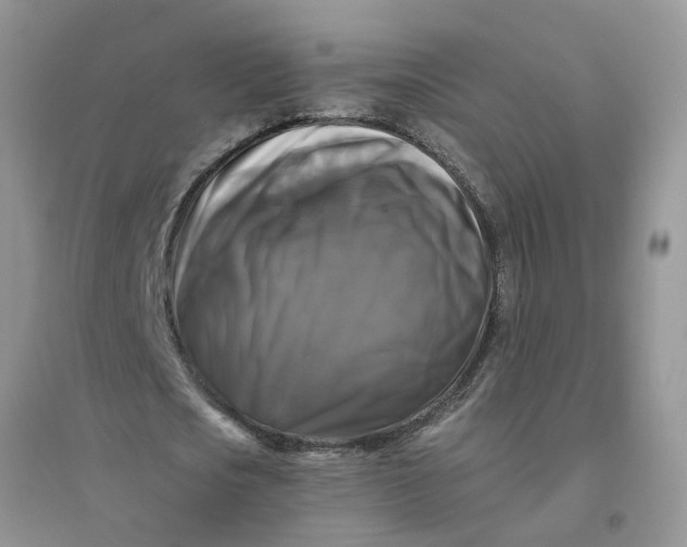 X0000096400721200802071600