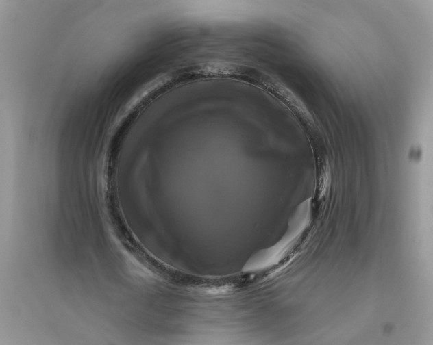 X0000096400722200802071600