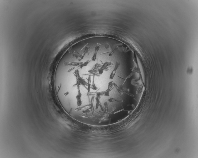 X0000096400723200802071600