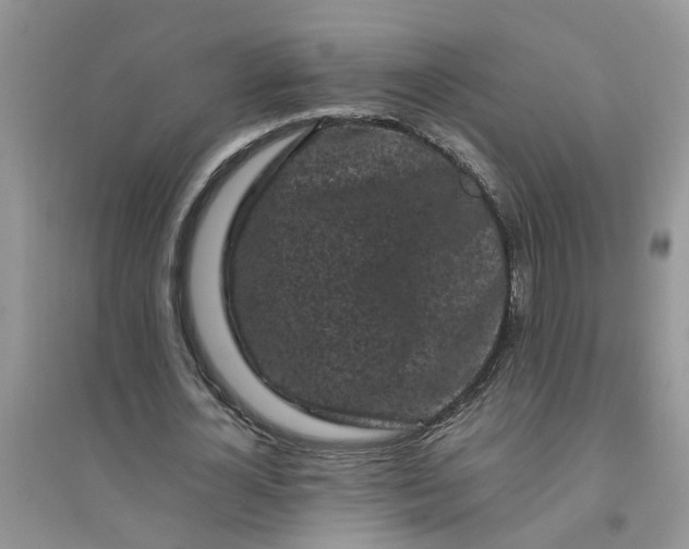 X0000096400724200802071600