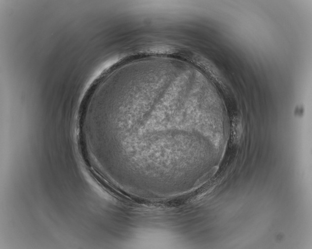 X0000096400726200802071600