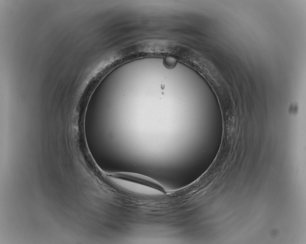 X0000096400727200802071600