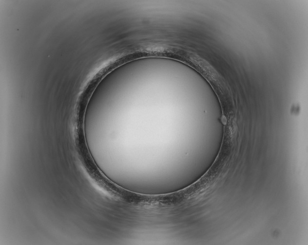 X0000096400728200802071600